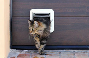 Cat Flap Fitter Diss