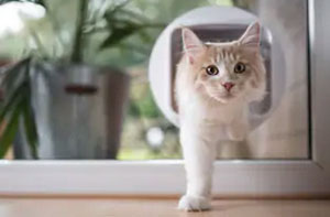 Cat Flap Fitter Meopham Kent (DA13)