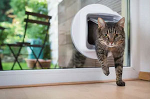 Cat Flap Fitter Aughton Lancashire (L39)