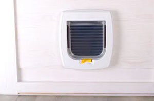 Cat Flap Fitters Axminster UK (01297)