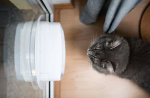 Cat Flap Installation Stapenhill Staffordshire