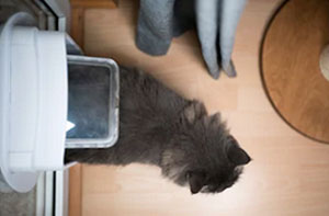 Cat Flap Installation Dulverton Somerset Cat Flap Installation Dulverton Somerset