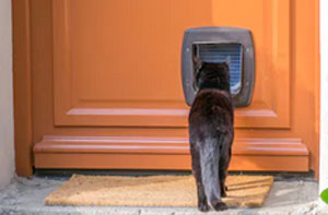 Cat Flap Installers Matlock (DE4)