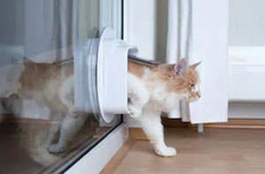 Cat Flap Installers Farnworth (BL4)